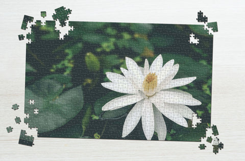 Flower puzzle