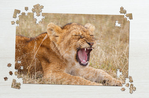 Lion cub puzzle