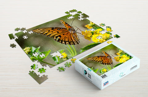 Butterfly puzzle