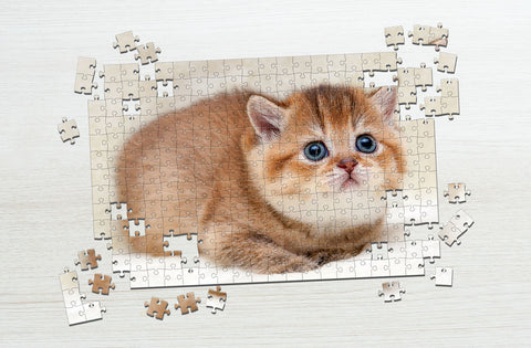 Small orange cat jigsaw puzzle
