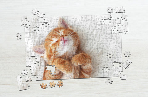 Sleeping orange cat puzzle
