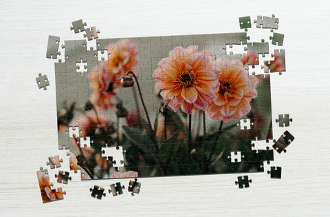 Pink petaled puzzle flowers