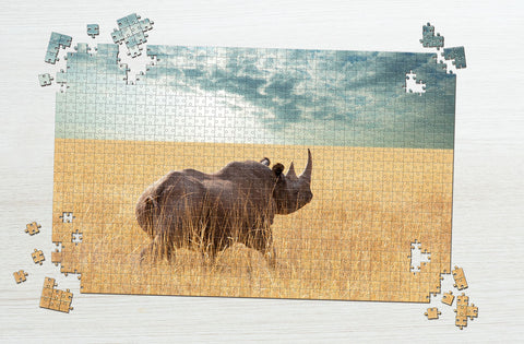 Rhino on the field puzzle