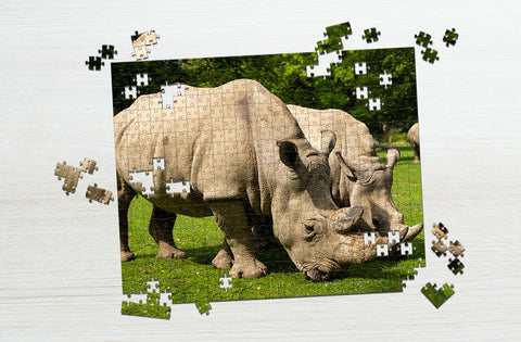 Beautiful white rhinoceros puzzle