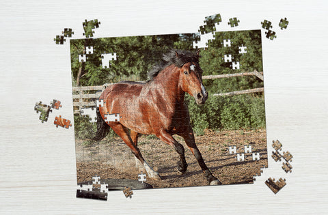 Galloping horse puzzle
