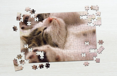 Close up view sleeping cat puzzle