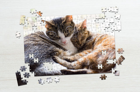 Two sleeping cats puzzle