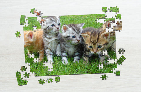 five cats puzzle