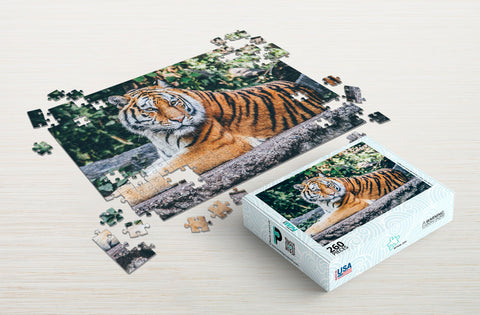 Tiger zoo animal puzzle