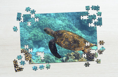 Ocean sea turtle puzzle