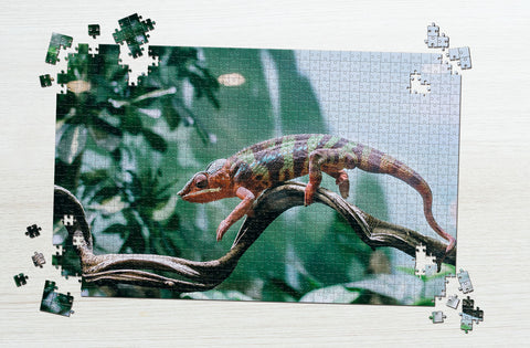 Gecko on a branch puzzle