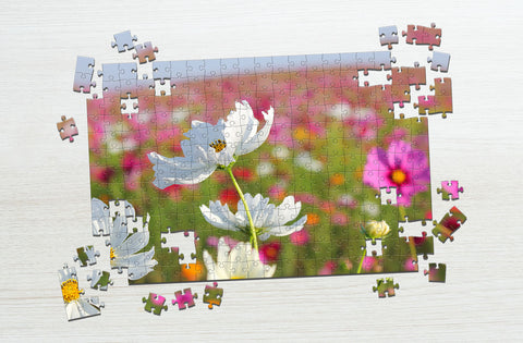 White and pink flower puzzle