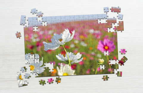 Assorted flower puzzle