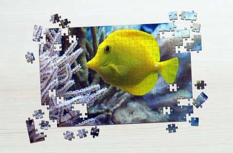 Yellow fish puzzle