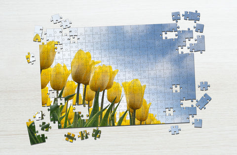 Yellow tulip puzzle flowers