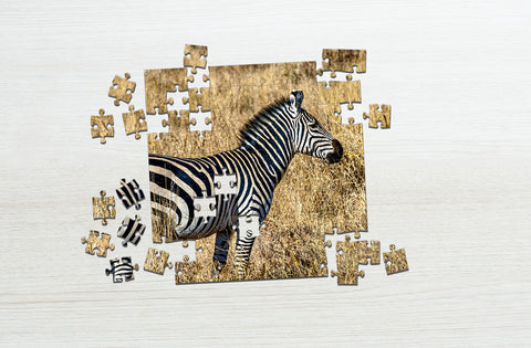 Zebra in a zoo puzzle