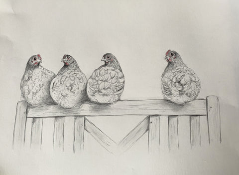 dessin animalier petites poules réalisé par Odile Laresche Peintre animalier