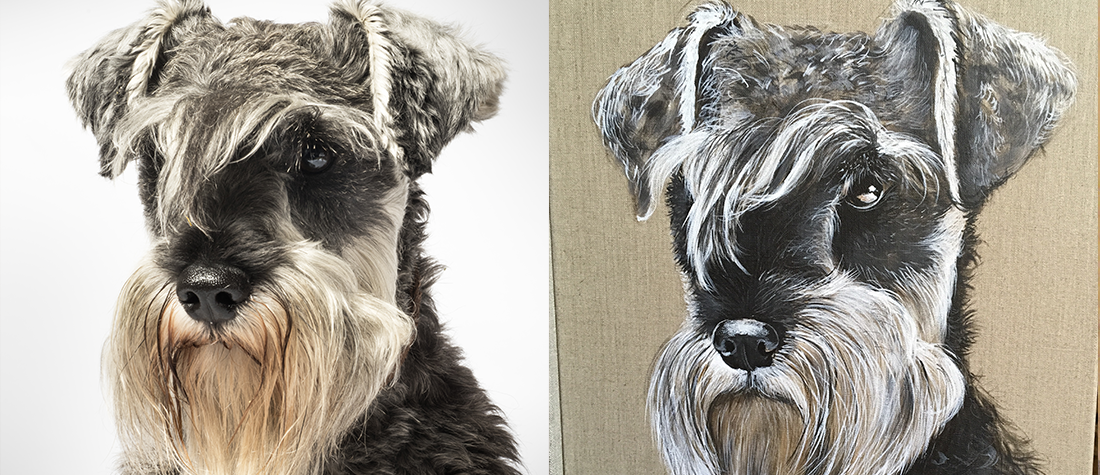 commande portrait de chien shnauzer nain odile laresche peintre animalier