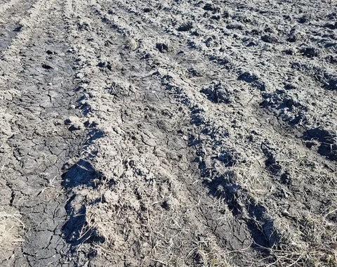 Ukrainian Soil - farmer's plowed field