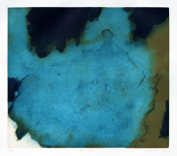 Christian Bozon - Espacio Abierto - color aquatint - aqua teal - abstract pool