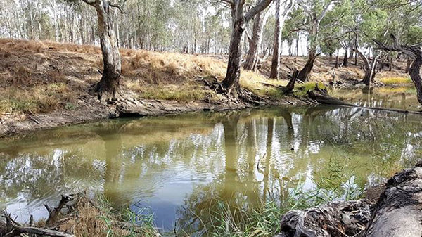 Marketa Kemp Australian outback bush