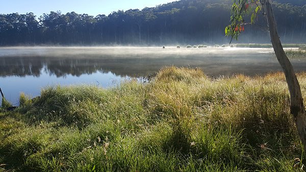 Marketa Kemp fog and dew landscape morning hike