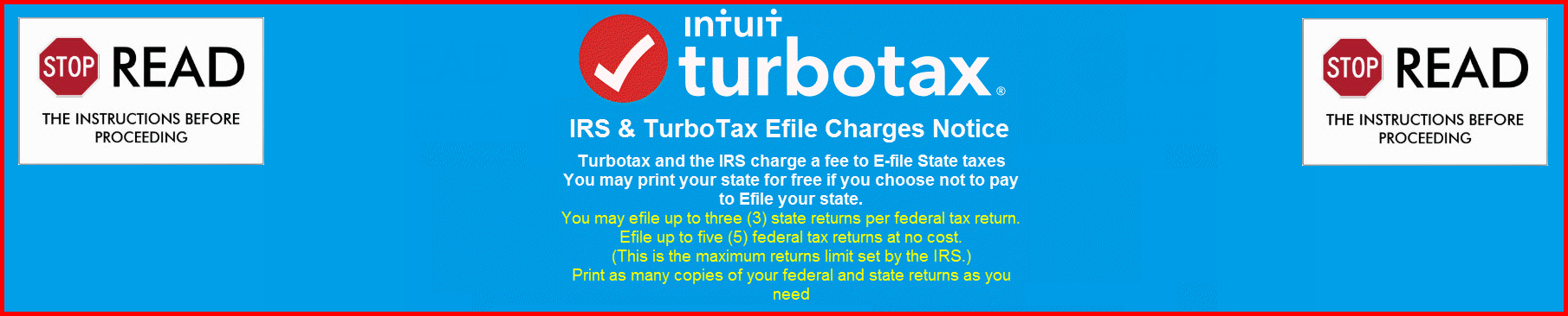 turbotax return included