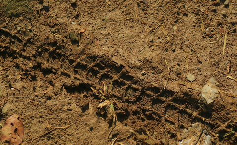 bike tire tracks on mud, electric bike tire tracks on mud