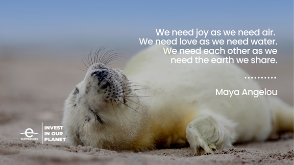 We need joy, Earth Day quote from Maya Angelou