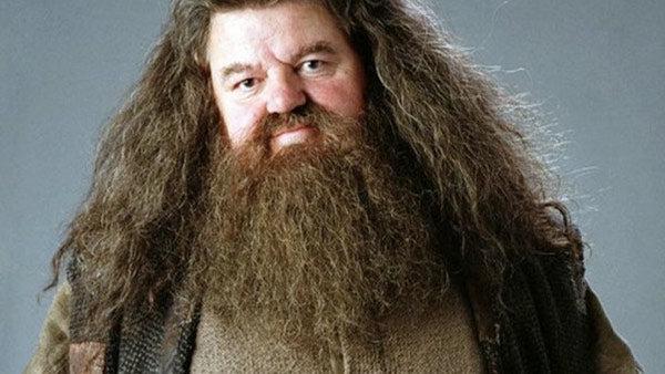 Hagrid dress code