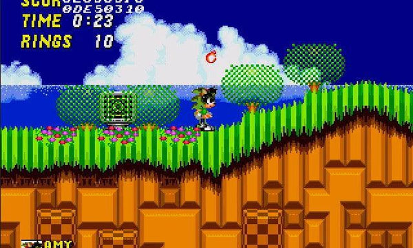 Sonic the hedgehog screen glitch