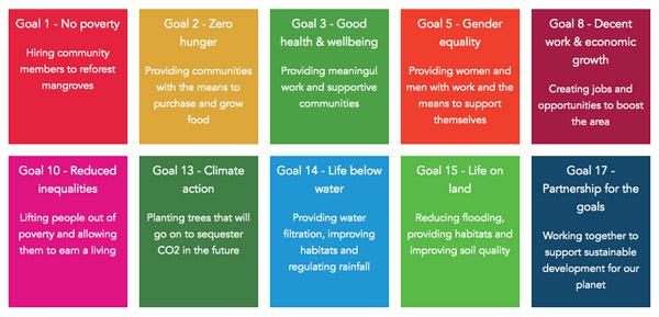 UN sustainable development goals