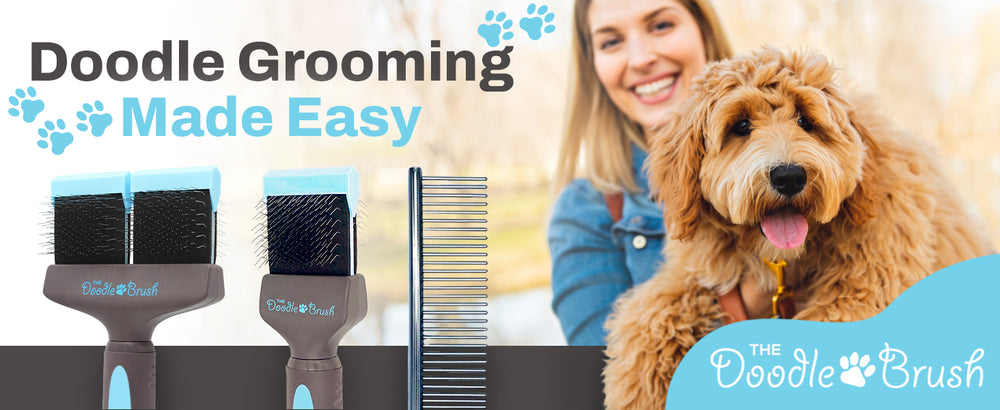 The Best Labradoodle Dog Grooming Slicker Brush | The Doodle Brush