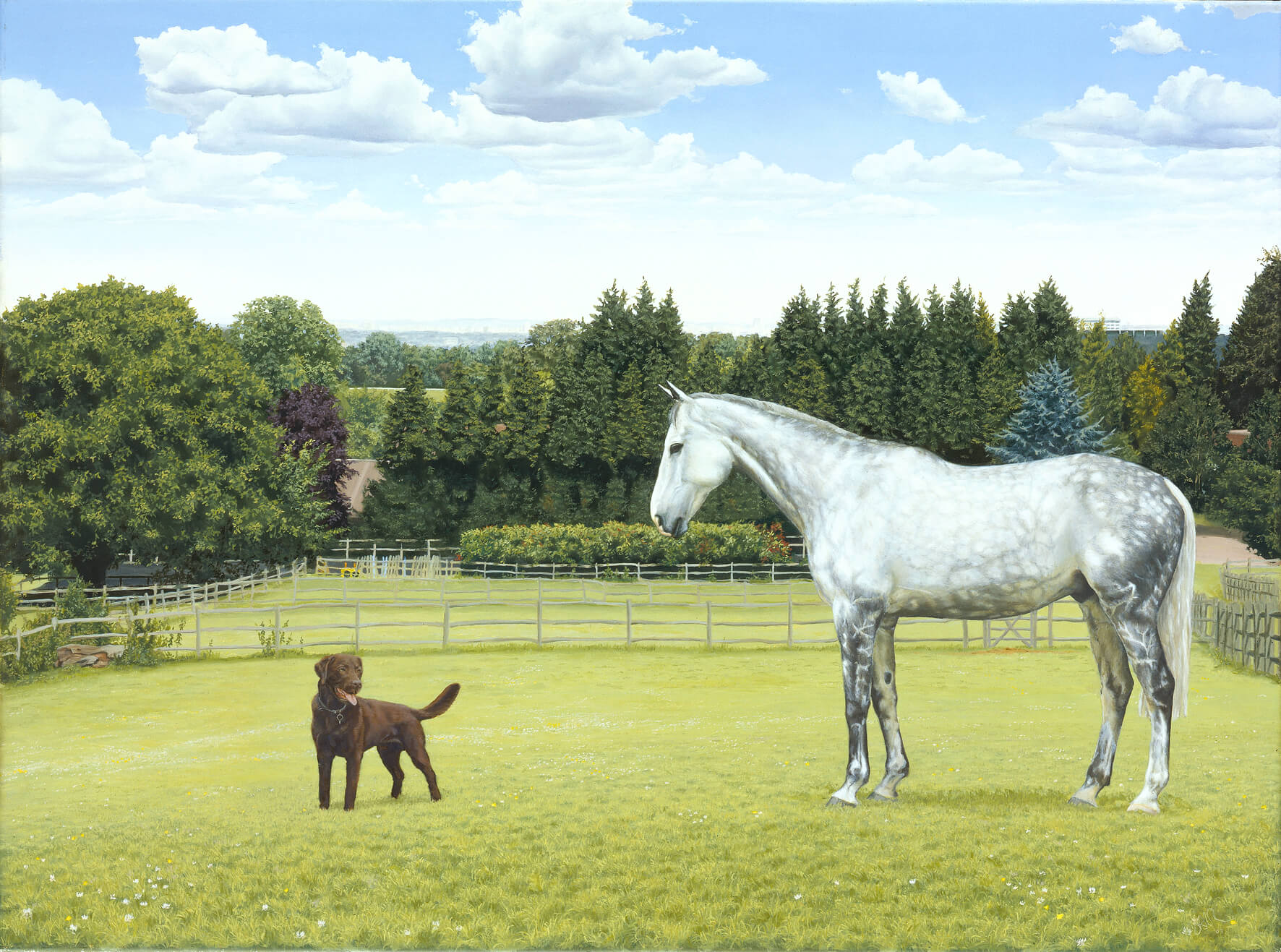 Horse portrait oil painting of a grey thoroughbred with a chocolate labrador.