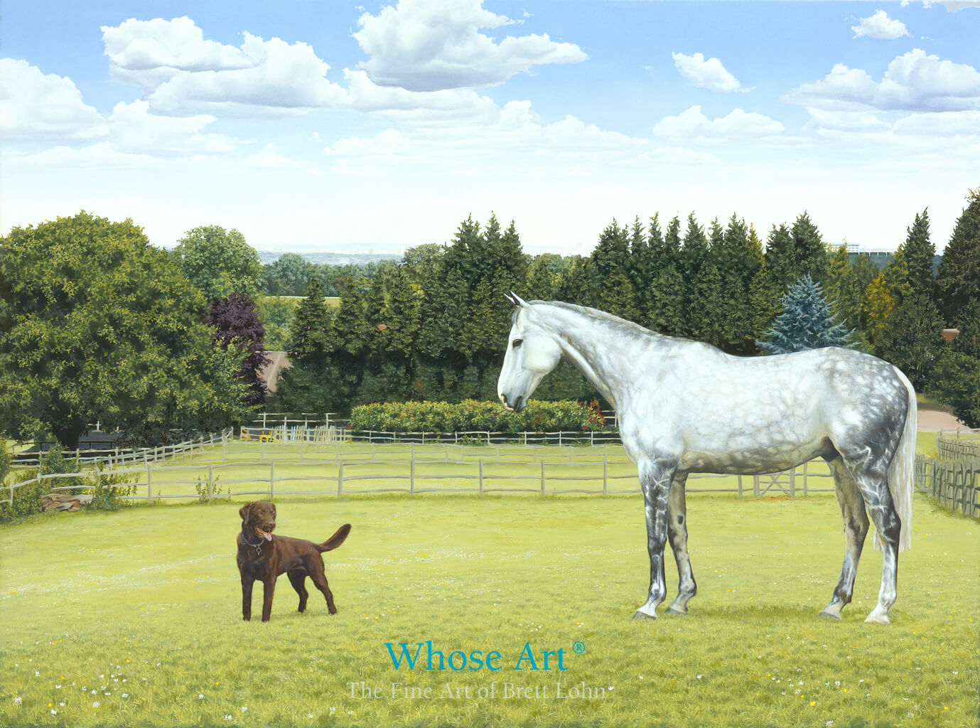 Oil Painting of Grey Horse with Chocolate Labrador in a field