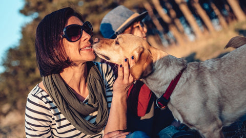 dog licking woman's face