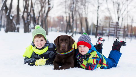 two siblings posing in the snow with their dog