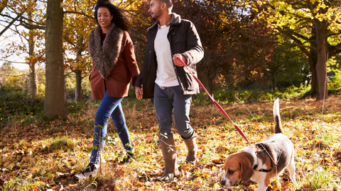 Couple walking dog through autumnal forest scene