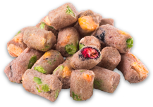 Image of Norsh Freeze-dried Raw Chicken with Fruit and Veg Treats