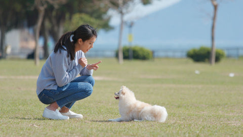 woman training dog outside