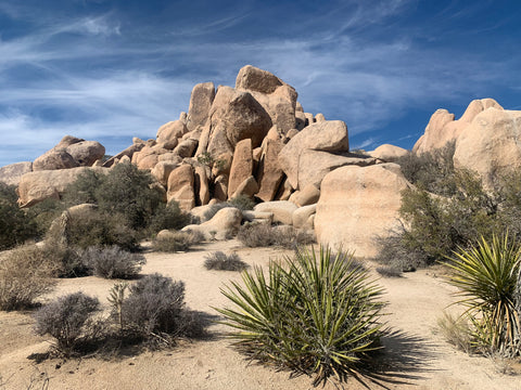 rocks in joshua tree national park