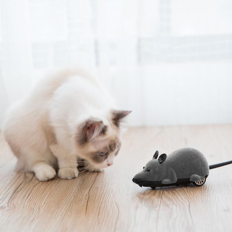 remote control mouse for cats