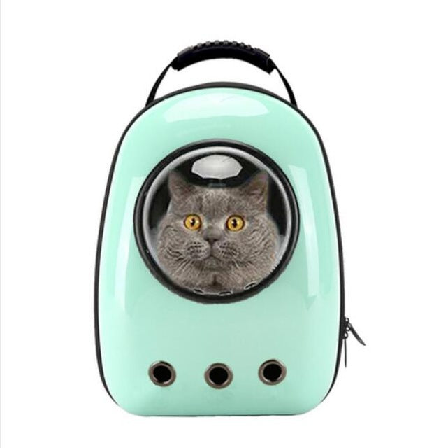 backpack with cat window