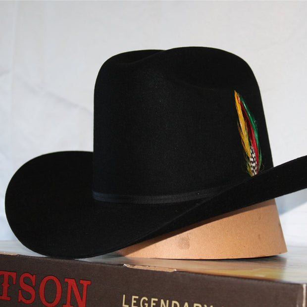 STETSON & RESISTOL ORIGINAL CLASSIC COWBOY HAT FEATHER OFFICIAL FAST  SHIPING
