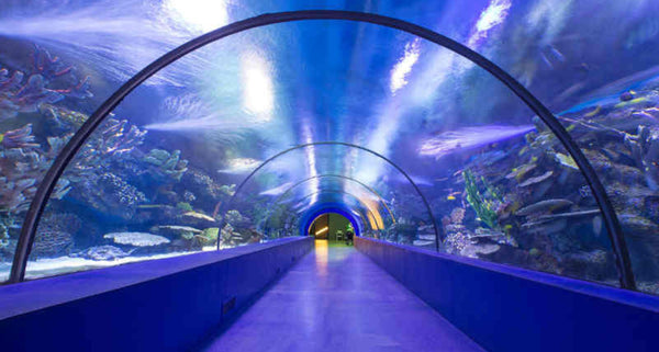 Aquarium Tunnel