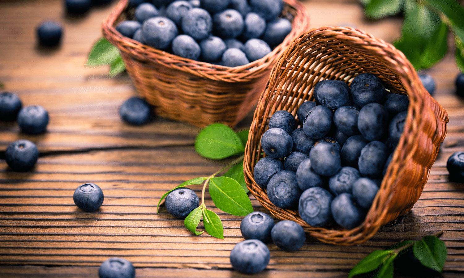 blueberries in a basket 