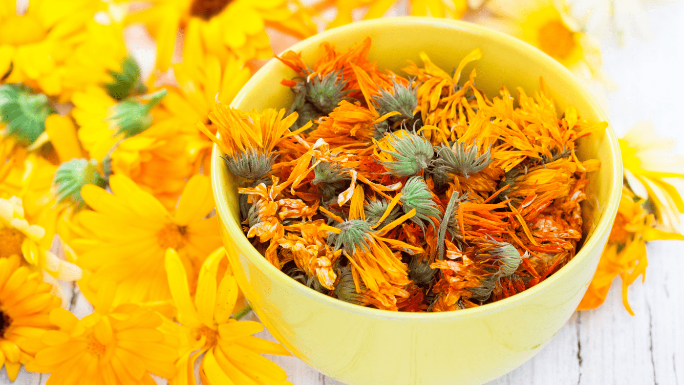 flor de caléndula en un recipiente y al costado del recipiente