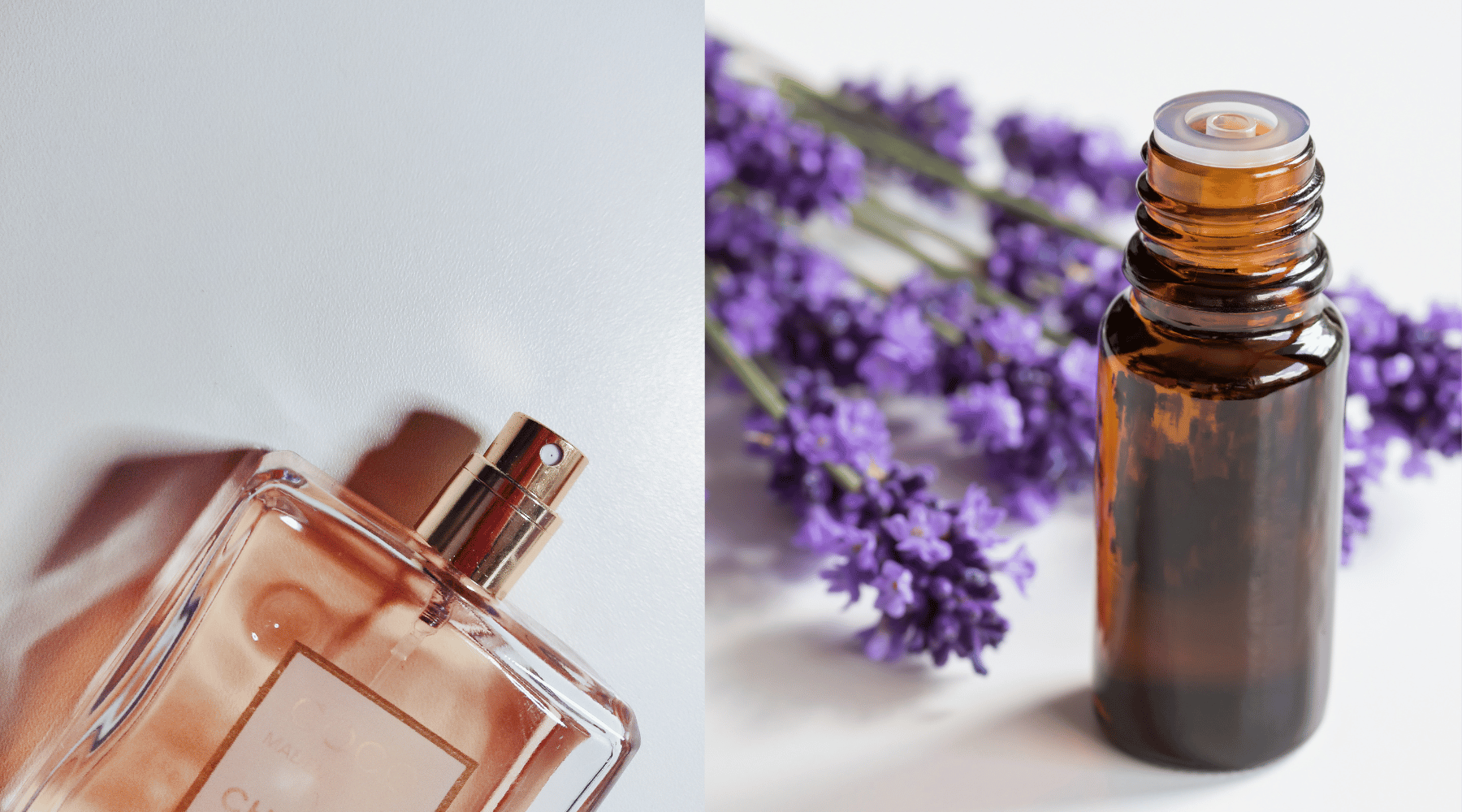 fragrance perfume and essential oil