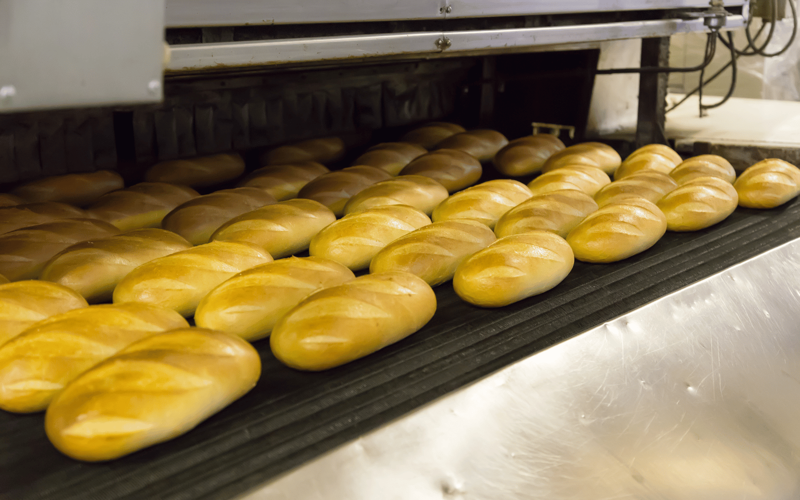 mass produced bread