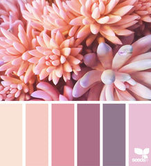 Design Seeds Color palette